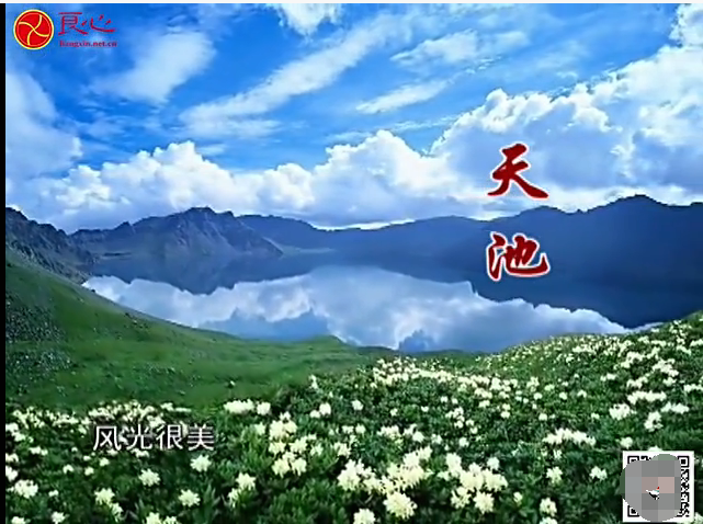 曾仕强易经的智慧全集